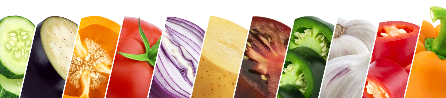 nutrition Health & Wellness 